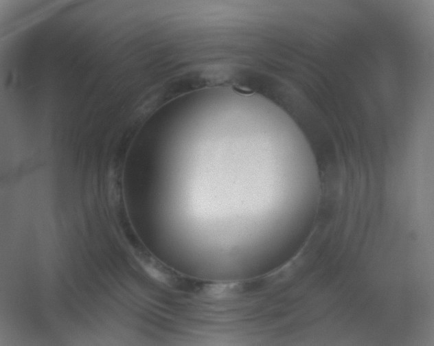 X0000054380136200508121616