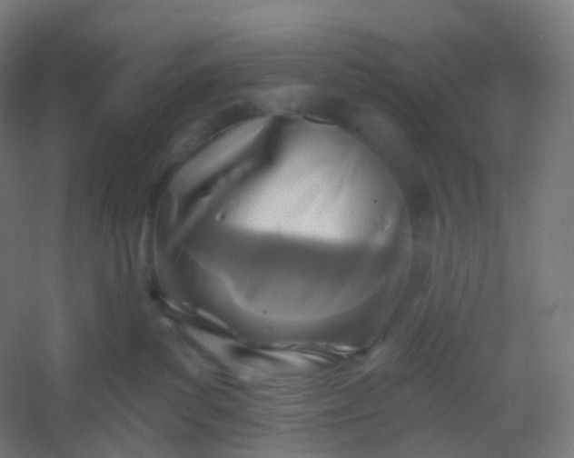 X0000054380139200508121616
