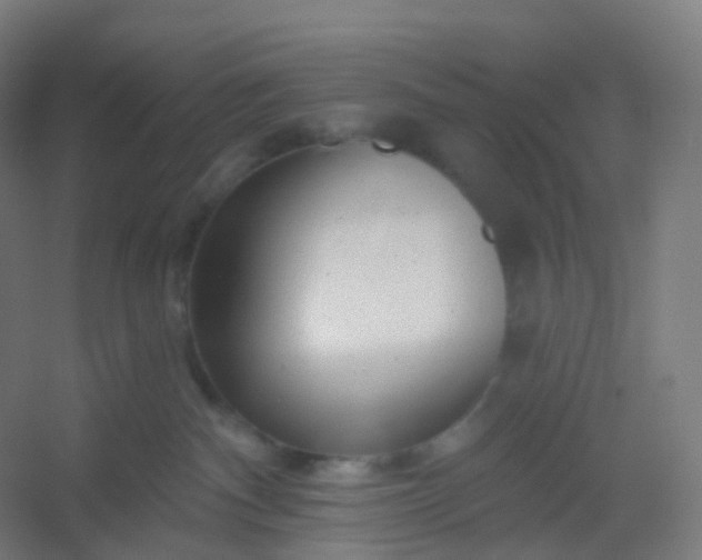 X0000054380140200508121616