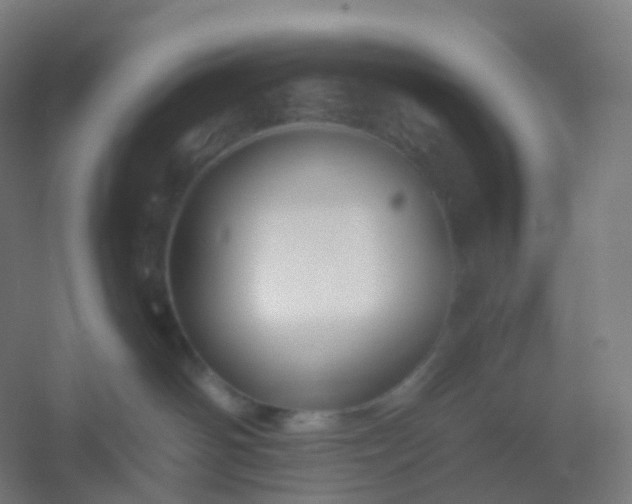 X0000054380142200508121616