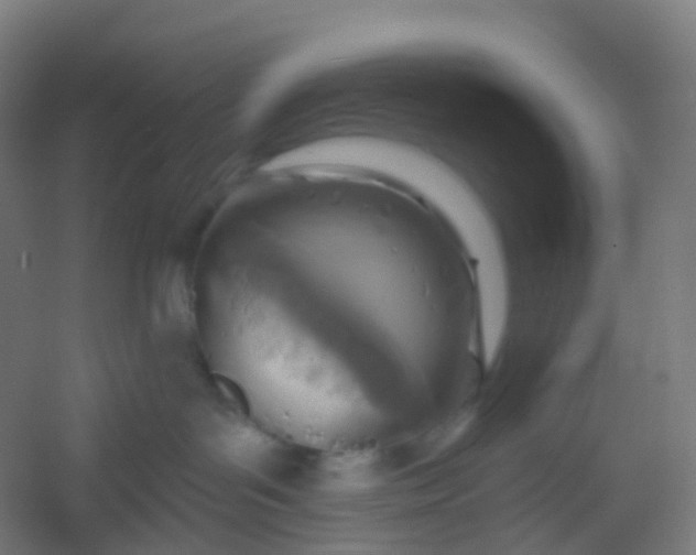 X0000054380143200508121616