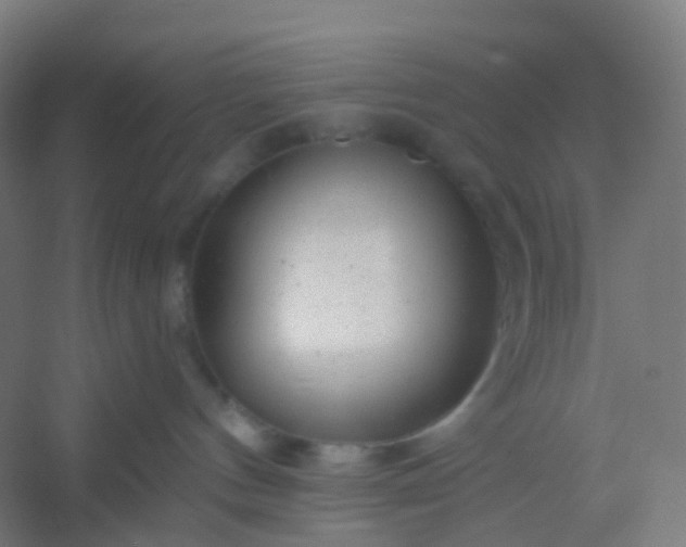 X0000054380144200508121616