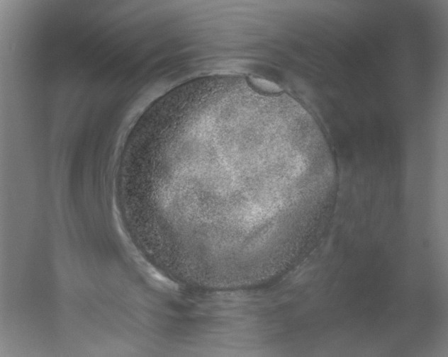 X0000054380145200508121615