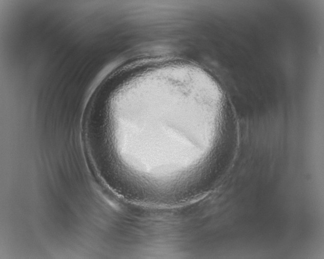 X0000054380147200508121615