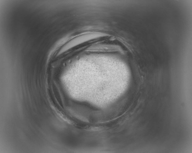 X0000054380149200508121615