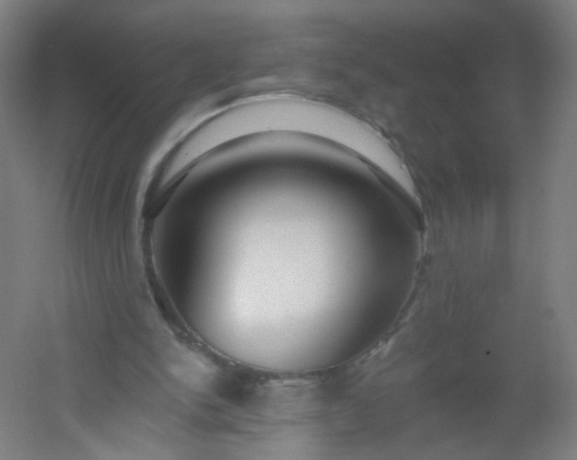 X0000054380150200508121615