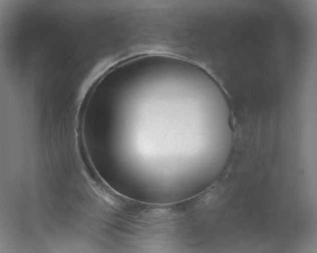 X0000054380151200508121615