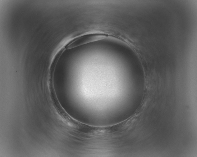 X0000054380152200508121615