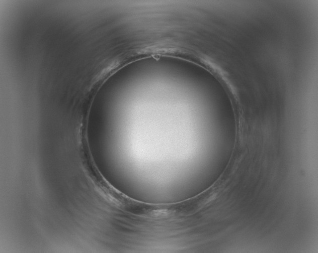X0000054380153200508121615