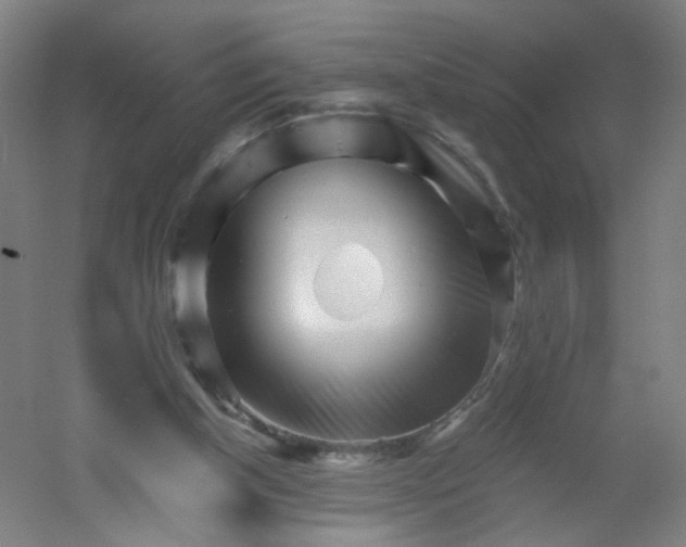 X0000054380154200508121615