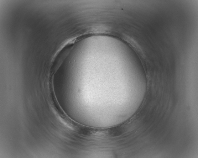 X0000054380155200508121615