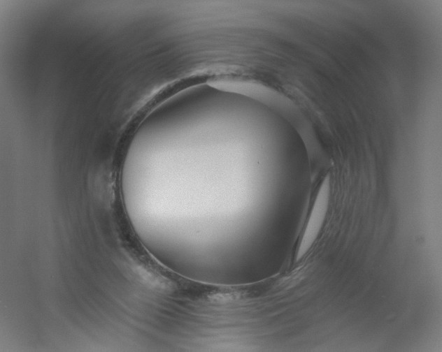 X0000054380160200508121616