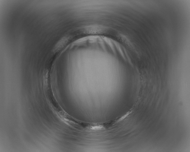 X0000054380163200508121616