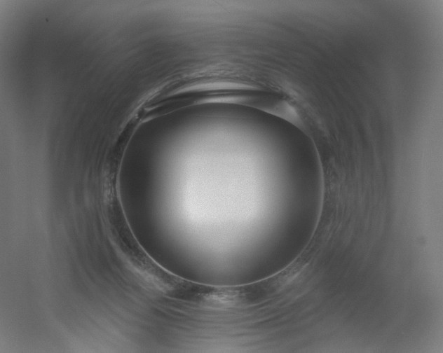 X0000054380164200508121616