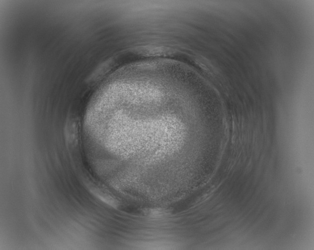 X0000054380165200508121616