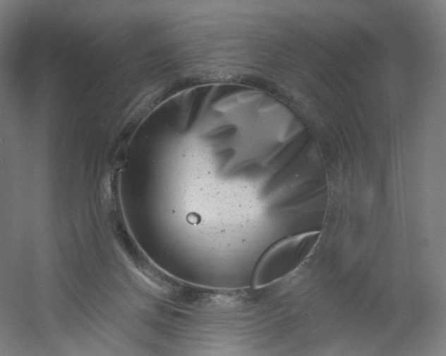 X0000054380166200508121616