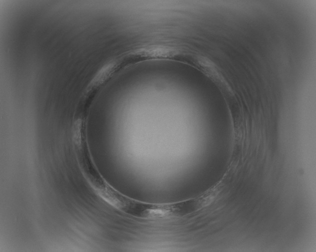 X0000054380167200508121616