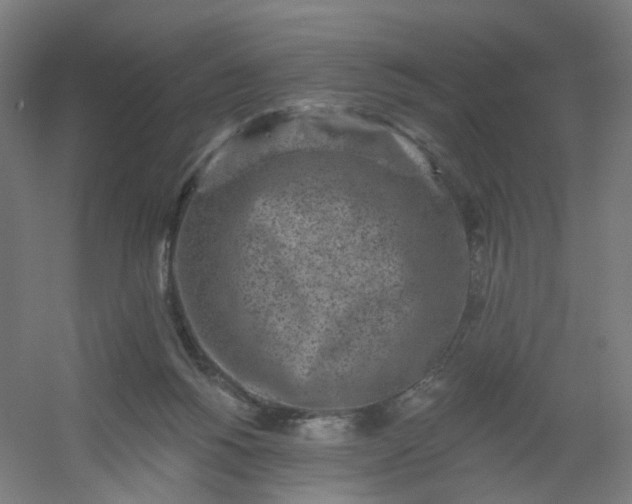 X0000054380168200508121616
