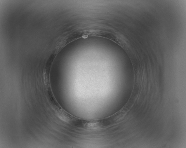 X0000054380173200508121616
