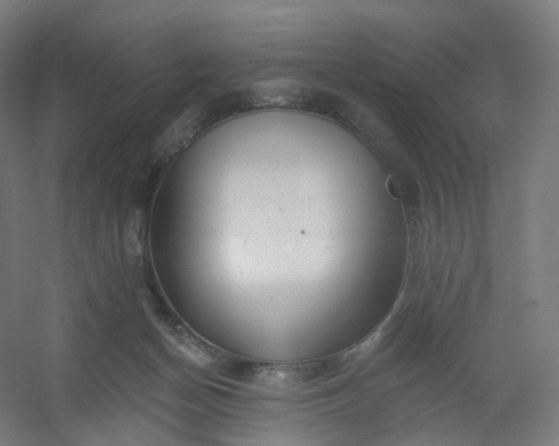 X0000054380174200508121616