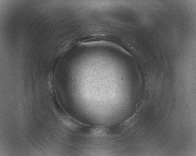 X0000054380175200508121616