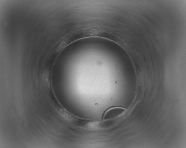 X0000054380178200508121616