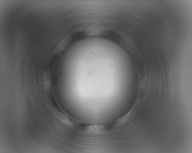 X0000054380179200508121616