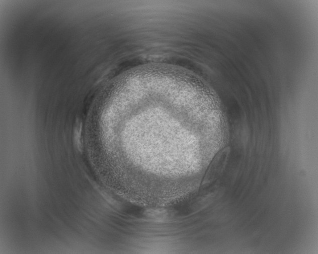 X0000054380181200508121616