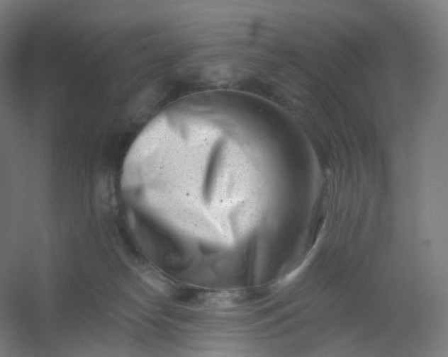 X0000054380182200508121616