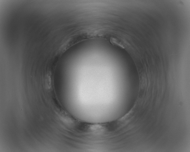 X0000054380183200508121616