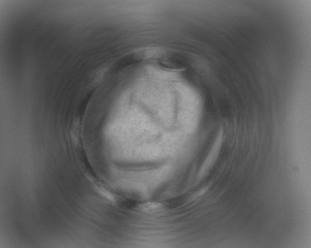 X0000054380189200508121616