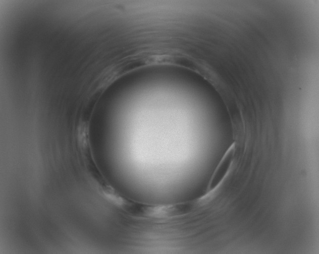 X0000054380191200508121616