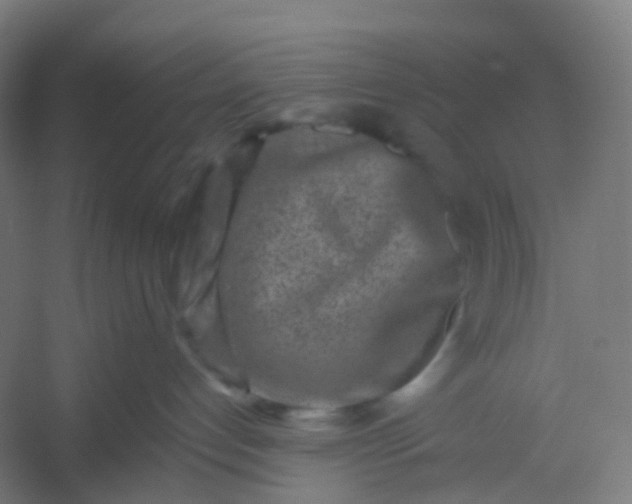 X0000054380192200508121616