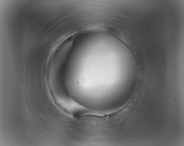 X0000054380193200508121615