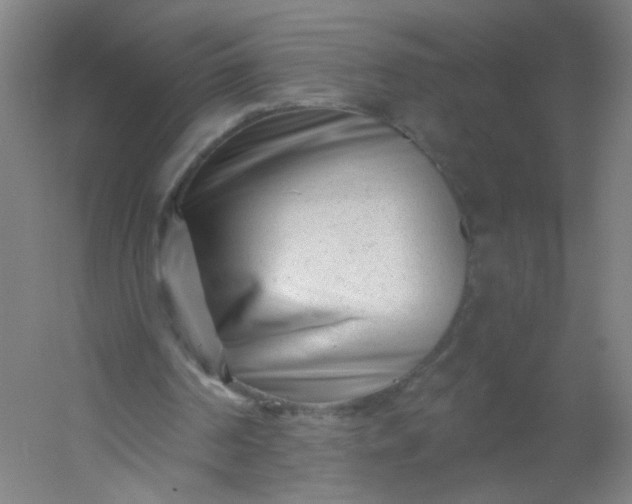 X0000054380194200508121615