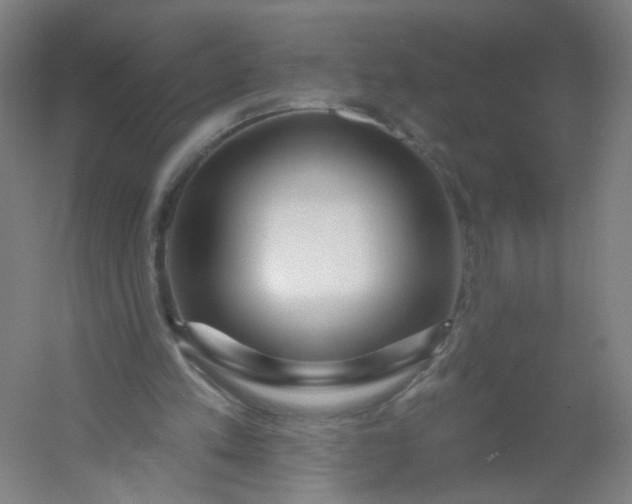 X0000054380197200508121615