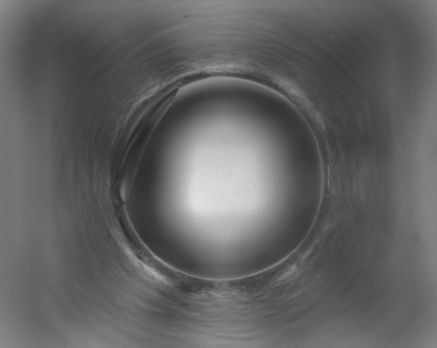 X0000054380201200508121615