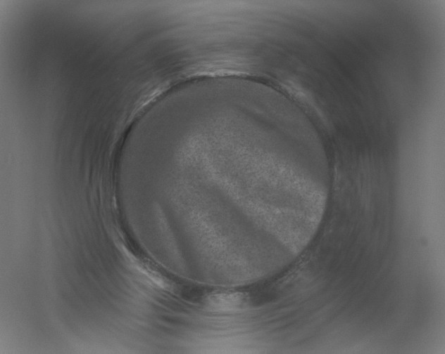 X0000054380202200508121615
