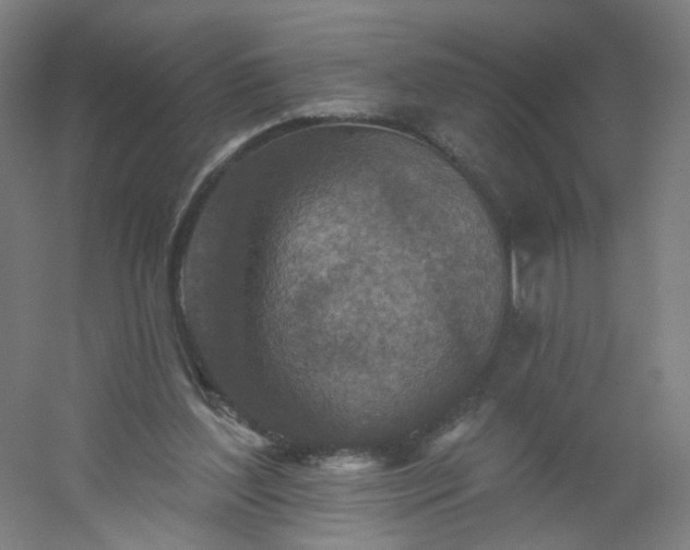 X0000054380204200508121615