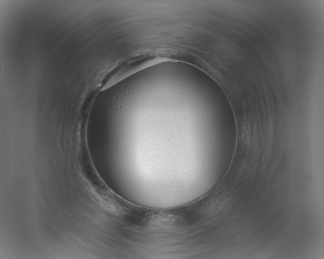 X0000054380206200508121615