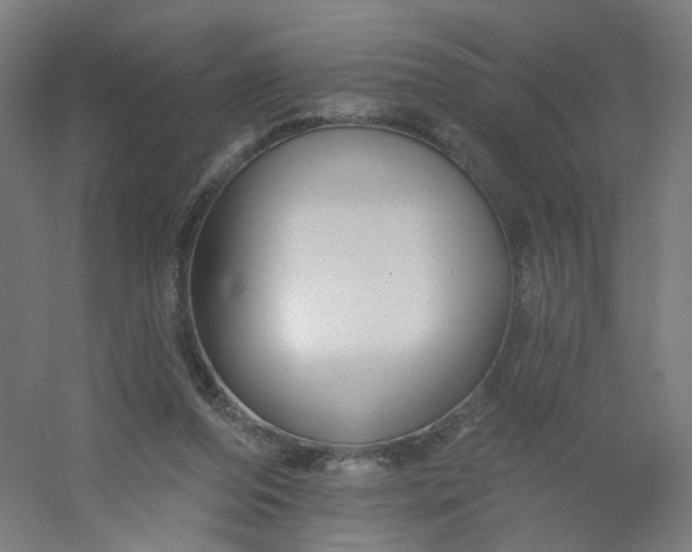 X0000054380208200508121615