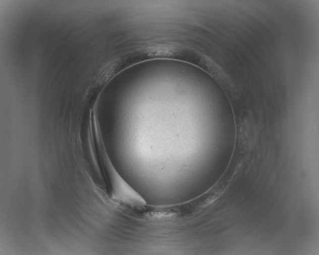 X0000054380209200508121615