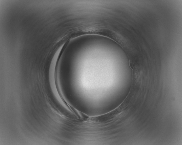 X0000054380211200508121615