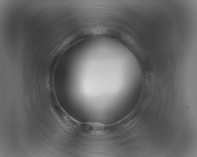 X0000054380212200508121615