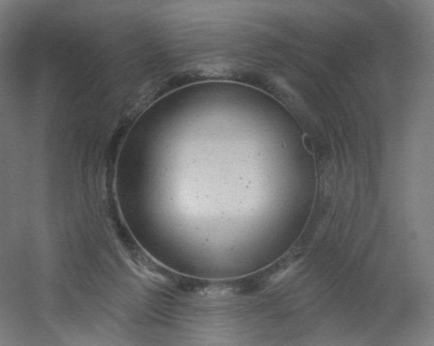 X0000054380213200508121615