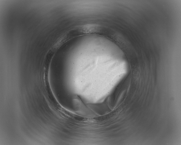 X0000054380214200508121615