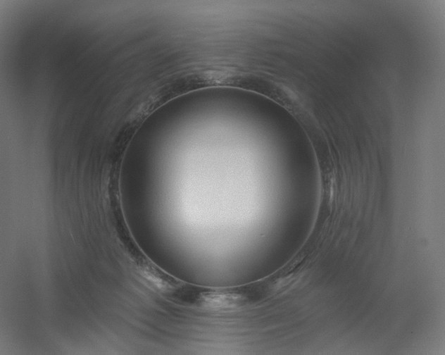 X0000054380221200508121615