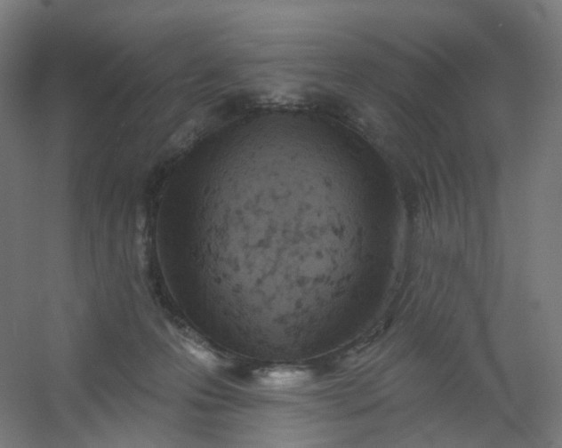X0000054380223200508121615