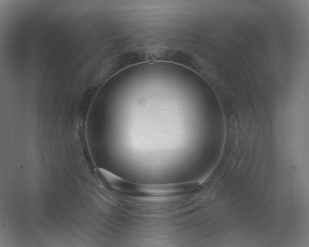 X0000054380225200508121615