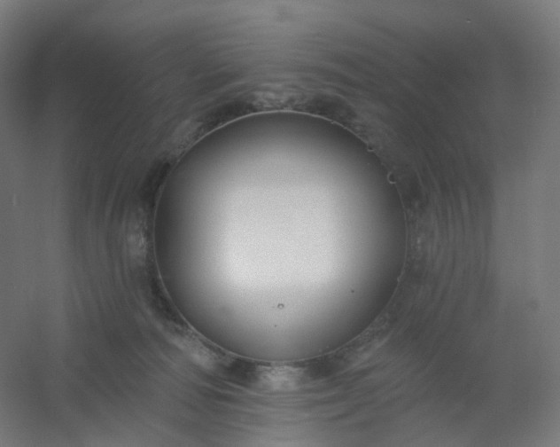 X0000054380226200508121615